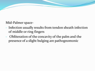 Mid-Palmer space-
- Infection usually results from tendon sheath infection
of middle or ring fingers
- Obliteration of the concavity of the palm and the
presence of a slight bulging are pathognomonic
 
