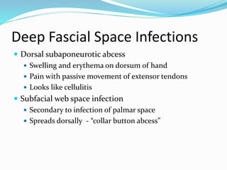 Deep Fascial Space Infections
 Dorsal subaponeurotic abcess
 Swelling and erythema on dorsum of hand
 Pain with passive movement of extensor tendons
 Looks like cellulitis
 Subfacial web space infection
 Secondary to infection of palmar space
 Spreads dorsally - “collar button abcess”
 