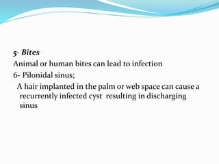 5- Bites
Animal or human bites can lead to infection
6- Pilonidal sinus;
A hair implanted in the palm or web space can cause a
recurrently infected cyst resulting in discharging
sinus
 
