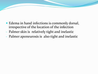  Edema in hand infections is commonly dorsal,
irrespective of the location of the infection
- Palmer skin is relatively tight and inelastic
- Palmer aponeurosis is also tight and inelastic
 