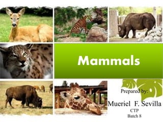 MammalsMammals
Prepared by:
Mueriel F. Sevilla
CTP
Batch 8
 