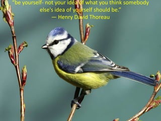 “be yourself- not your idea of what you think somebody
           else's idea of yourself should be.”
                ― Henry David Thoreau
 
