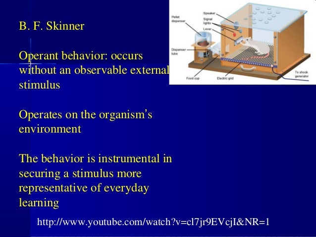 Experimental Conditions In Pavlov S Dogs Experimental Conditions In Pavlov S Dogs