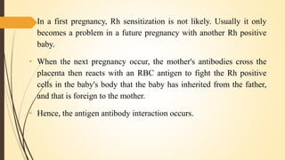 • In a first pregnancy, Rh sensitization is not likely. Usually it only
becomes a problem in a future pregnancy with anoth...