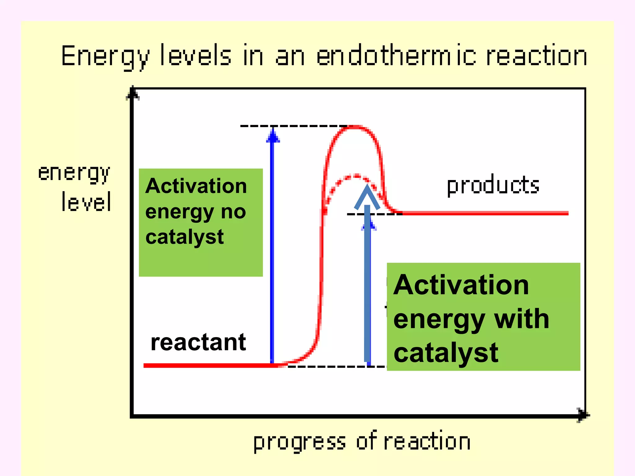 Activation energy with catalyst Activation energy no catalyst reactant 