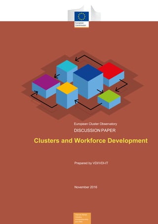 Internal Market,
Industry,
Entrepreneurship
and SMEs
Clusters and Workforce Development
European Cluster Observatory
DISCUSSION PAPER
Prepared by VDI/VDI-IT
November 2016
 