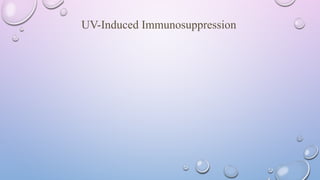 The Impact of Ultraviolet Light on Skin's Immune System and Vitamin D ...