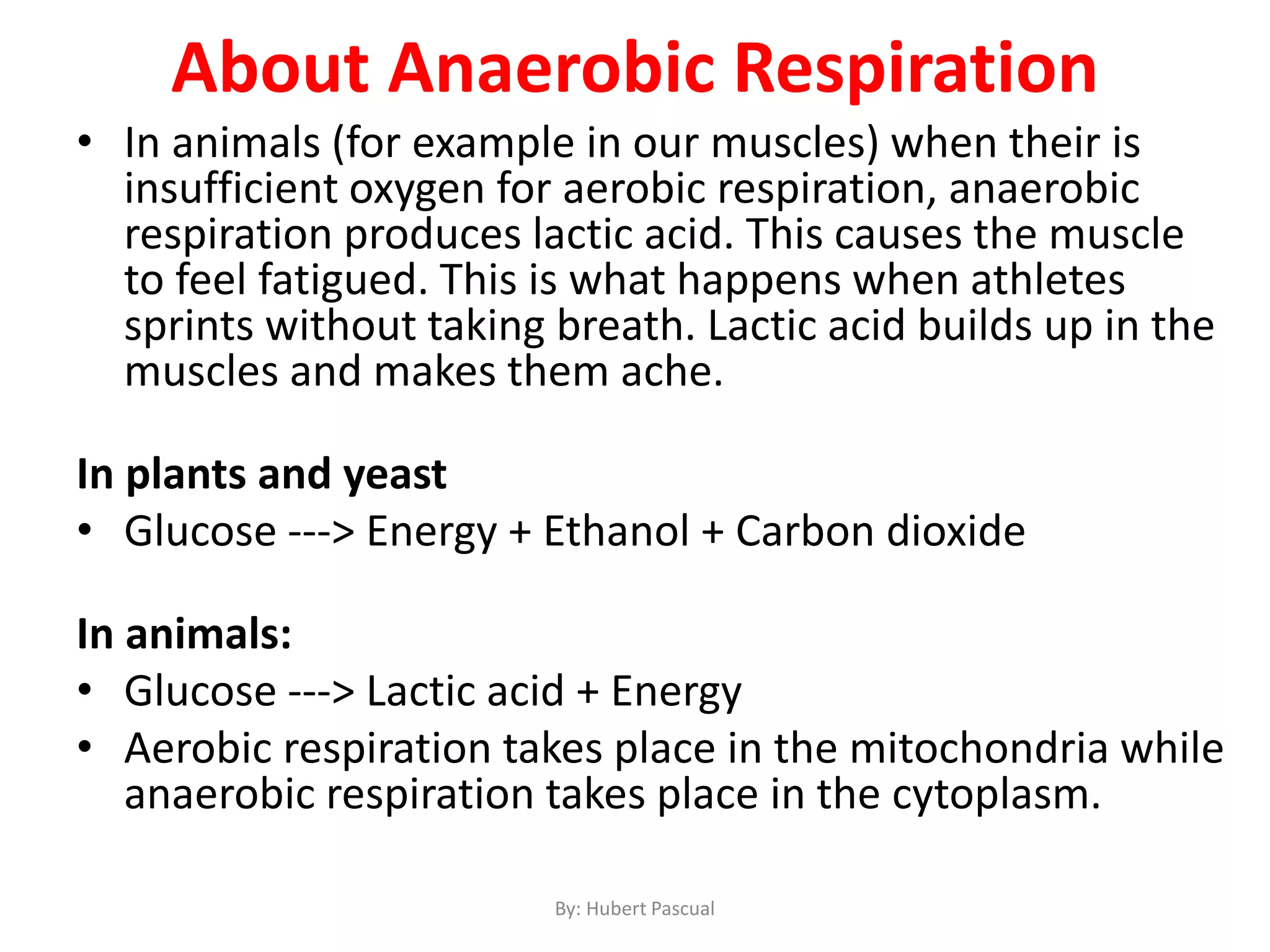 • In animals (for example in our muscles) when their is
insufficient oxygen for aerobic respiration, anaerobic
respiration produces lactic acid. This causes the muscle
to feel fatigued. This is what happens when athletes
sprints without taking breath. Lactic acid builds up in the
muscles and makes them ache.
In plants and yeast
• Glucose ---> Energy + Ethanol + Carbon dioxide
In animals:
• Glucose ---> Lactic acid + Energy
• Aerobic respiration takes place in the mitochondria while
anaerobic respiration takes place in the cytoplasm.
About Anaerobic Respiration
By: Hubert Pascual
 