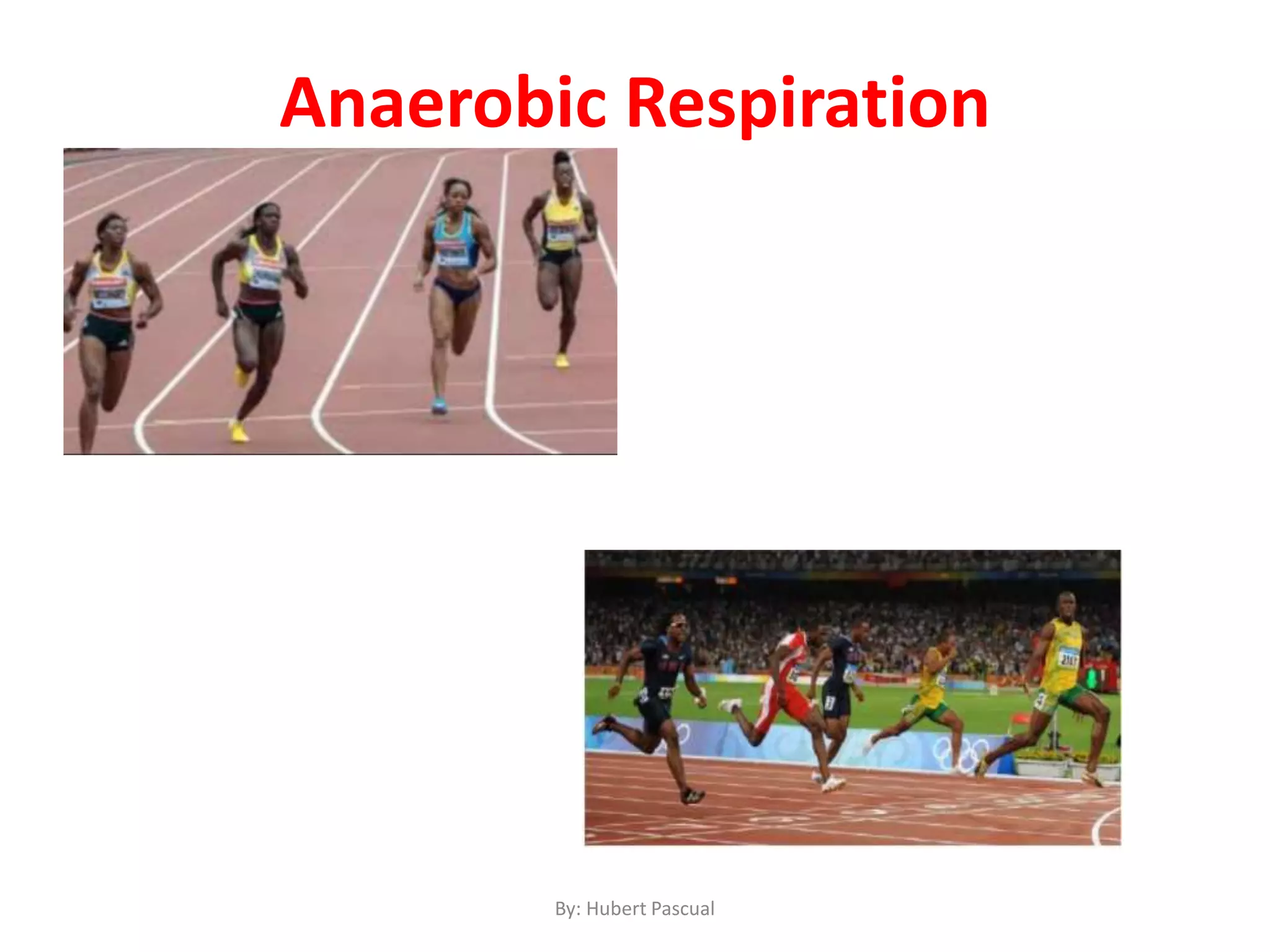 By: Hubert Pascual
Anaerobic Respiration
 