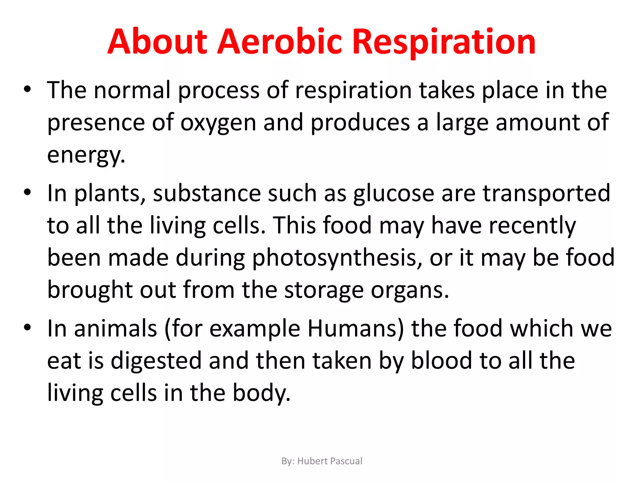 • The normal process of respiration takes place in the
presence of oxygen and produces a large amount of
energy.
• In plants, substance such as glucose are transported
to all the living cells. This food may have recently
been made during photosynthesis, or it may be food
brought out from the storage organs.
• In animals (for example Humans) the food which we
eat is digested and then taken by blood to all the
living cells in the body.
About Aerobic Respiration
By: Hubert Pascual
 