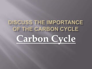 Discuss the importance of the carbon cycle Carbon Cycle 