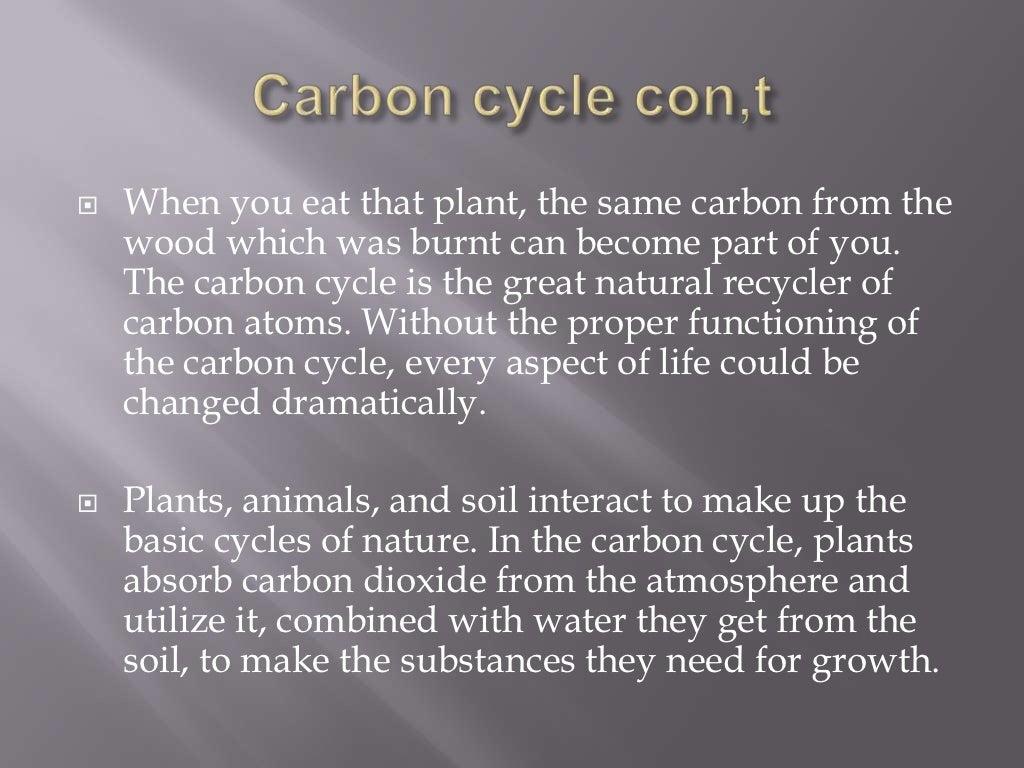 the importance of the carbon cycle