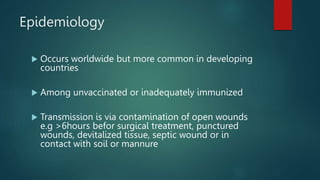 Sepic Cut DISCUSS THE PATHOGENESIS,CLINICAL PRESENTATION OF TETANUS.ADD A NOTE ON ...