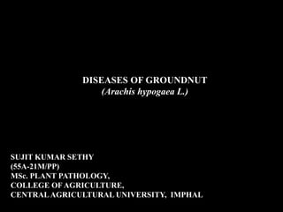 DISEASES OF GROUNDNUT
(Arachis hypogaea L.)
SUJIT KUMAR SETHY
(55A-21M/PP)
MSc. PLANT PATHOLOGY,
COLLEGE OFAGRICULTURE,
CENTRALAGRICULTURAL UNIVERSITY, IMPHAL
 
