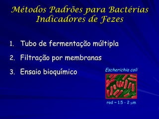 Detecção de Micróbios de Água e
        Frutos de Mar

• Os métodos tradicionais da detecção
  de micróbios de interesse d...