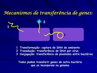 Destino dos genes transferidos:

 Sistema RecA = recombinação na genoma
 Dependente da similaridade de seqüência
       Ta...