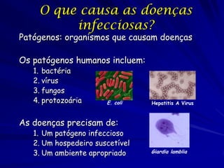 Classes ou Categorias de Micro-
          organismos Patogênicos

Vírus: menores (0.02-0.3 µm diâmetro); mais simples:
   ...