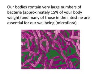Our bodies contain very large numbers of 
bacteria (approximately 15% of your body 
weight) and many of those in the intestine are 
essential for our wellbeing (microflora). 
nutritionresearchcenter.org 
 