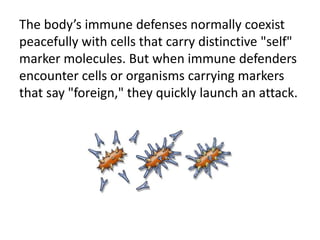The body’s immune defenses normally coexist 
peacefully with cells that carry distinctive "self" 
marker molecules. But when immune defenders 
encounter cells or organisms carrying markers 
that say "foreign," they quickly launch an attack. 
 