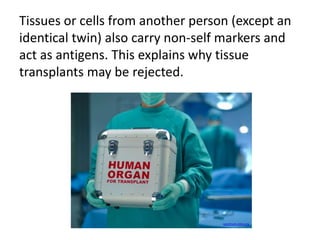 Tissues or cells from another person (except an 
identical twin) also carry non-self markers and 
act as antigens. This explains why tissue 
transplants may be rejected. 
spectrum.ieee.org 
