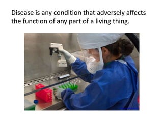 Disease is any condition that adversely affects 
the function of any part of a living thing. 
commons.wikimedia.org 
 