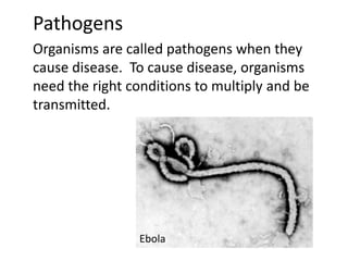 Pathogens 
Organisms are called pathogens when they 
cause disease. To cause disease, organisms 
need the right conditions to multiply and be 
transmitted. 
Ebola 
 