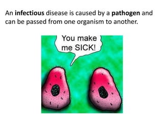 An infectious disease is caused by a pathogen and 
can be passed from one organism to another. 
 
