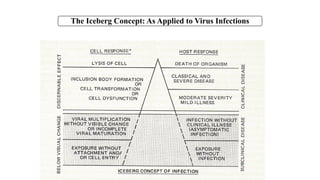 The Iceberg Concept: As Applied to Virus Infections
 