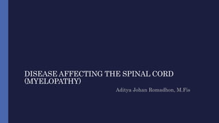 DISEASE AFFECTING THE SPINAL CORD
(MYELOPATHY)
Aditya Johan Romadhon, M.Fis
 
