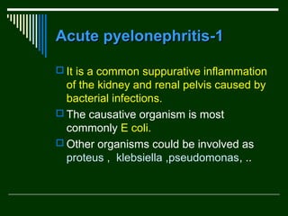 Acute pyelonephritis-1
 It is a common suppurative inflammation

of the kidney and renal pelvis caused by
bacterial infections.
 The causative organism is most
commonly E coli.
 Other organisms could be involved as
proteus , klebsiella ,pseudomonas, ..

 