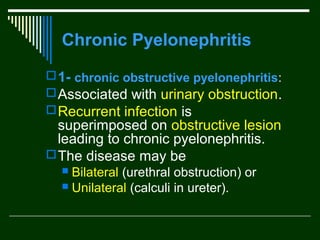 Chronic Pyelonephritis
 1- chronic obstructive pyelonephritis:
 Associated with urinary obstruction.
 Recurrent infection is

superimposed on obstructive lesion
leading to chronic pyelonephritis.
 The disease may be
Bilateral (urethral obstruction) or
 Unilateral (calculi in ureter).


 
