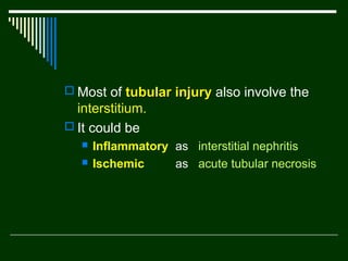  Most of tubular injury also involve the

interstitium.
 It could be



Inflammatory as interstitial nephritis
Ischemic
as acute tubular necrosis

 