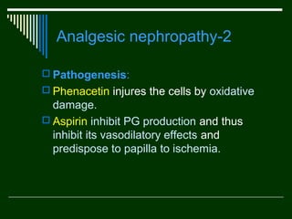 Analgesic nephropathy-2
 Pathogenesis:
 Phenacetin injures the cells by oxidative

damage.
 Aspirin inhibit PG production and thus
inhibit its vasodilatory effects and
predispose to papilla to ischemia.

 