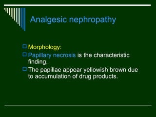 Analgesic nephropathy
 Morphology:
 Papillary necrosis is the characteristic

finding.
 The papillae appear yellowish brown due
to accumulation of drug products.

 