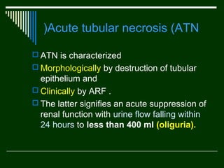 )Acute tubular necrosis (ATN
 ATN is characterized
 Morphologically by destruction of tubular

epithelium and
 Clinically by ARF .
 The latter signifies an acute suppression of
renal function with urine flow falling within
24 hours to less than 400 ml (oliguria).

 