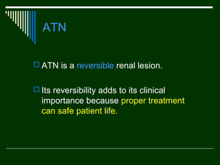 ATN
 ATN is a reversible renal lesion.
 Its reversibility adds to its clinical

importance because proper treatment
can safe patient life.

 