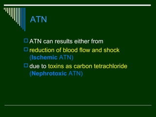 ATN
 ATN can results either from
 reduction of blood flow and shock

(Ischemic ATN(
 due to toxins as carbon tetrachloride
(Nephrotoxic ATN(

 