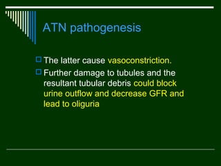 ATN pathogenesis
 The latter cause vasoconstriction.
 Further damage to tubules and the

resultant tubular debris could block
urine outflow and decrease GFR and
lead to oliguria

 