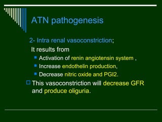 ATN pathogenesis
2- Intra renal vasoconstriction;
It results from




Activation of renin angiotensin system ,
Increase endothelin production,
Decrease nitric oxide and PGI2.

 This vasoconstriction will decrease GFR

and produce oliguria.

 