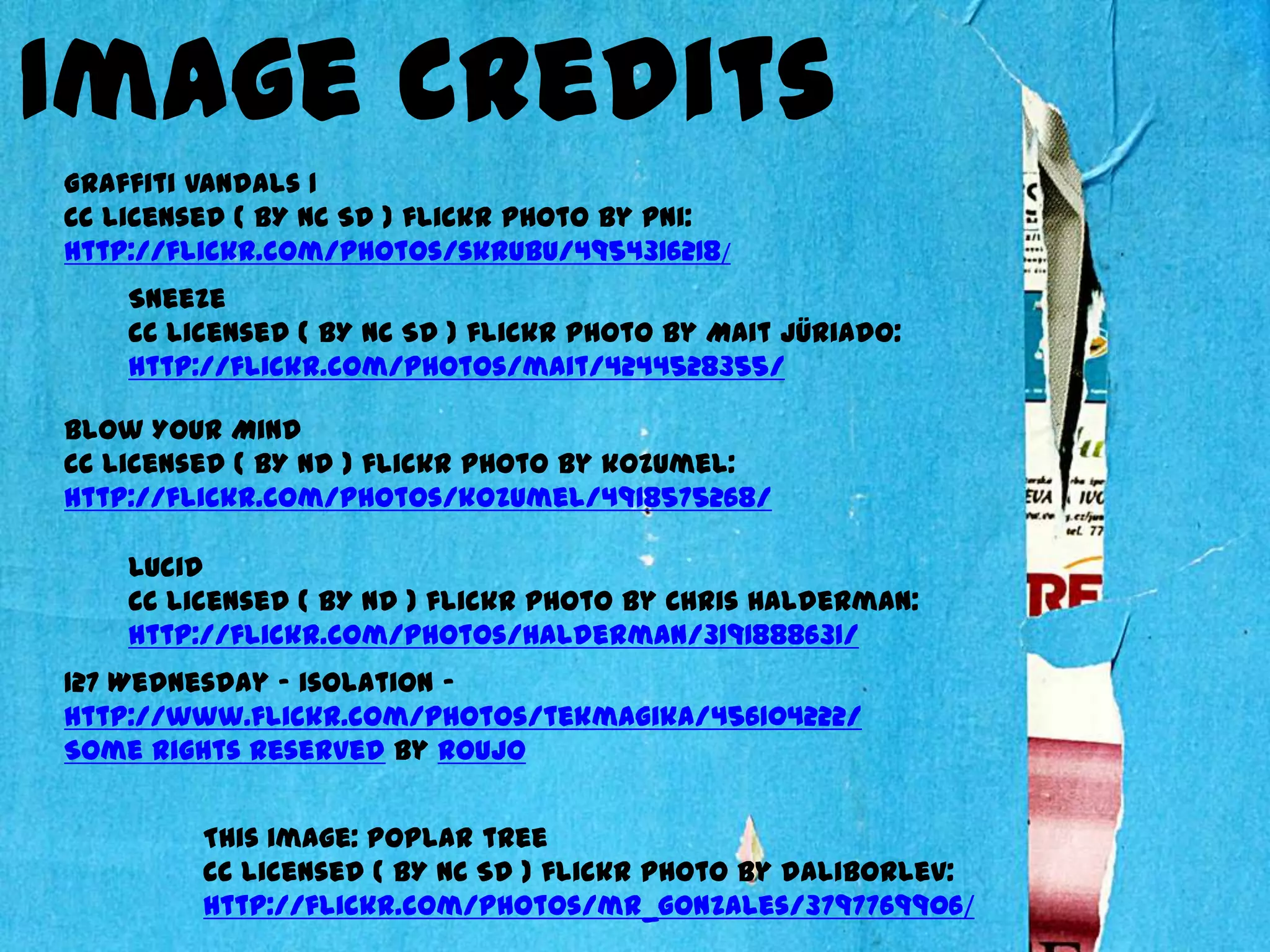 Image Credits
Graffiti Vandals 1
cc licensed ( BY NC SD ) flickr photo by pni:
http://flickr.com/photos/skrubu/4954316218/
    Sneeze
    cc licensed ( BY NC SD ) flickr photo by Mait Jüriado:
    http://flickr.com/photos/mait/4244528355/

Blow Your Mind
cc licensed ( BY ND ) flickr photo by kozumel:
http://flickr.com/photos/kozumel/4918575268/

    Lucid
    cc licensed ( BY ND ) flickr photo by Chris Halderman:
    http://flickr.com/photos/halderman/3191888631/
127 Wednesday - isolation -
http://www.flickr.com/photos/tekmagika/456104222/
Some rights reserved by roujo


         This image: Poplar tree
         cc licensed ( BY NC SD ) flickr photo by daliborlev:
         http://flickr.com/photos/mr_gonzales/3797769906/
 