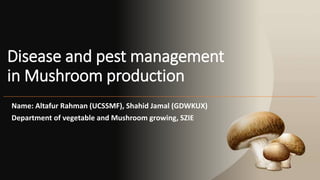 Disease and pest management
in Mushroom production
Name: Altafur Rahman (UCSSMF), Shahid Jamal (GDWKUX)
Department of vegetable and Mushroom growing, SZIE
 