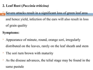 Rust Sori Comprehensive Management of Economically Important Crop Diseases and ...