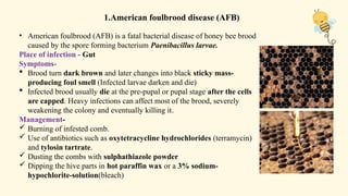 Different Disease and pest of honey bee .pptx