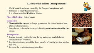 Different Disease and pest of honey bee .pptx
