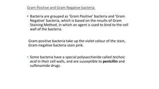 Gram Positive and Gram Negative bacteria:
• Bacteria are grouped as ‘Gram Positive’ bacteria and ‘Gram
Negative’ bacteria, which is based on the results of Gram
Staining Method, in which an agent is used to bind to the cell
wall of the bacteria.
Gram-positive bacteria take up the violet colour of the stain,
Gram-negative bacteria stain pink.
• Some bacteria have a special polysaccharide called teichoic
acid in their cell walls, and are susceptible to penicillin and
sulfonamide drugs.

 