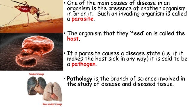 Disease Classification