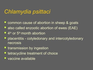 disease conditions of small ruminants.ppt
