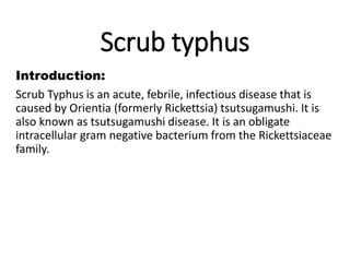 Scrub typhus
Introduction:
Scrub Typhus is an acute, febrile, infectious disease that is
caused by Orientia (formerly Rickettsia) tsutsugamushi. It is
also known as tsutsugamushi disease. It is an obligate
intracellular gram negative bacterium from the Rickettsiaceae
family.
 