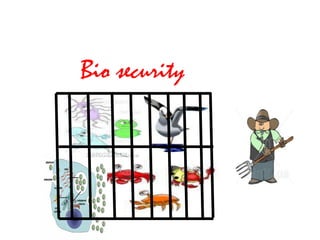 Bio security
 