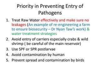 Priority in Preventing Entry of
Pathogens
1. Treat Raw Water effectively and make sure no
leakages (An example of re-engineering a farm
to ensure biosecurity – Dr Nyan Taw’s work) &
water treatment strategies
2. Avoid entry of carriers especially crabs & wild
shrimp ( be careful of the main reservoir)
3. Use SPF or SPR postlarvae
4. Avoid contamination by human
5. Prevent spread and contamination by birds
 